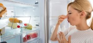 Запах у холодильнику зникне сам: ось що потрібно покласти всередину