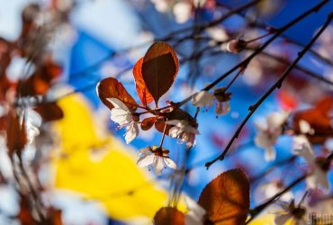 Сколько украинцев верят в победу в войне: результаты опроса
