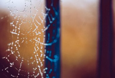 Сегодня часть Украины накроют дожди: где будет мокро (карта)