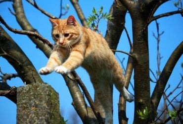 Сегодня в Украину придет долгожданное потепление: где будет самая высокая температура