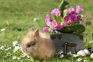 Стало известно, когда в Украину придет настоящее летнее тепло