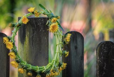 Вихідні в Україні будуть холодними - наближається морозне повітря з Арктики