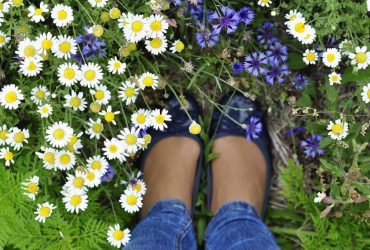 Укргидрометцентр порадовал прогнозом на неделю: будет классическое лето