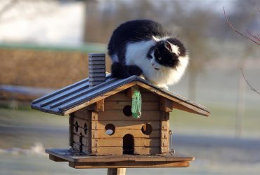 Синоптик пообіцяла українцям майже квітневе тепло до +14°