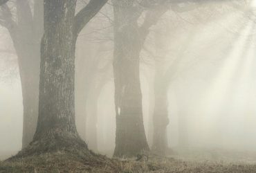 В Одесі оголосили І рівень небезпеки: що сталося