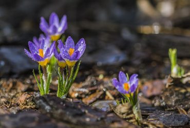 На вихідних в Україну прийде потепління, але є нюанс (карта)