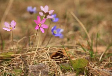 Дощі припиняються: у середу на українців чекає поліпшення погоди (карта)