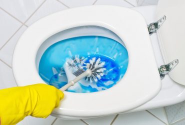Do not rush to throw it away: simple life hacks on how to clean the toilet brush