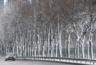 Намек на потепление: сегодня погода в Киеве начнет меняться