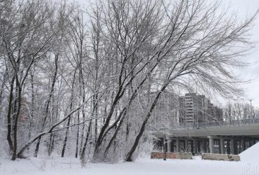 Сьогодні в Києві весь день буде мороз