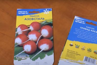 Редис Азовсталь и кабачок Призрак Киева: сеть закипает из-за названий украинских семян (видео)