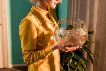 К чему снится рыба: о чем на самом деле говорит такой сон