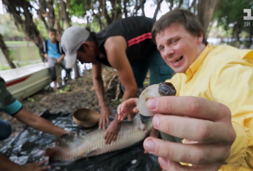 Ядовитые пауки и смертоносная рыба: самые опасные блюда, которые пробовал Дмитрий Комаров
