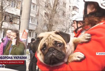 Вижили, але понівечені осколками: запорожці після ракетного удару згадують пережите