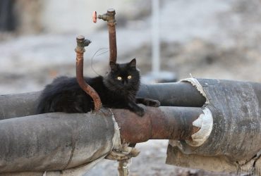 Енергосистема України витримає найхолодніший день зими за однієї умови, - Укренерго