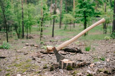 Как уничтожить пень и корни от спиленного дерева