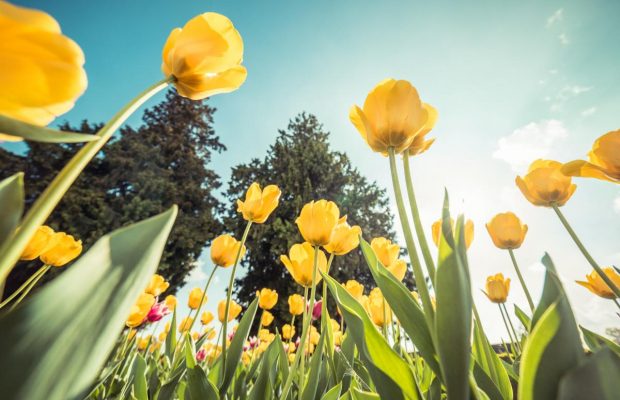 Народне свято 6 травня: чотири головні заборони цього дня