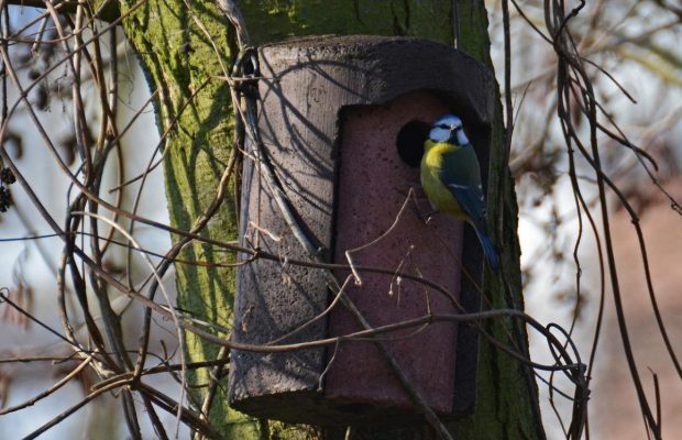24 марта: какой сегодня народный праздник и приметы погоды, что нельзя делать
