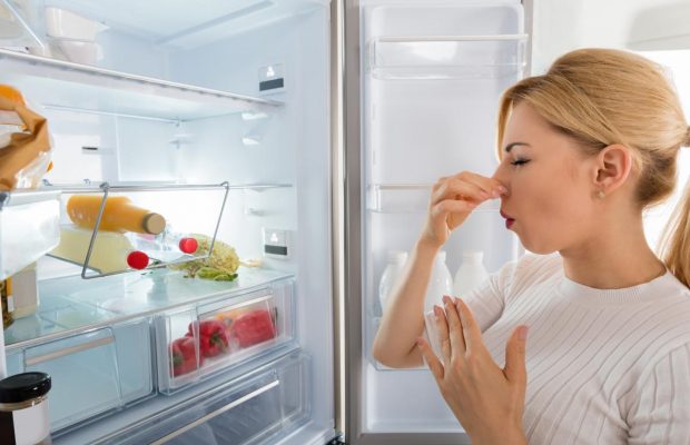 Запах в холодильнике исчезнет сам: вот что нужно положить внутрь