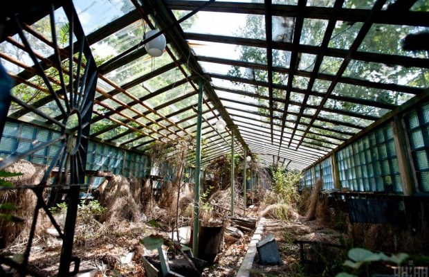 Марганцівка чи "м'який" препарат: як обробити теплицю з полікарбонату навесні