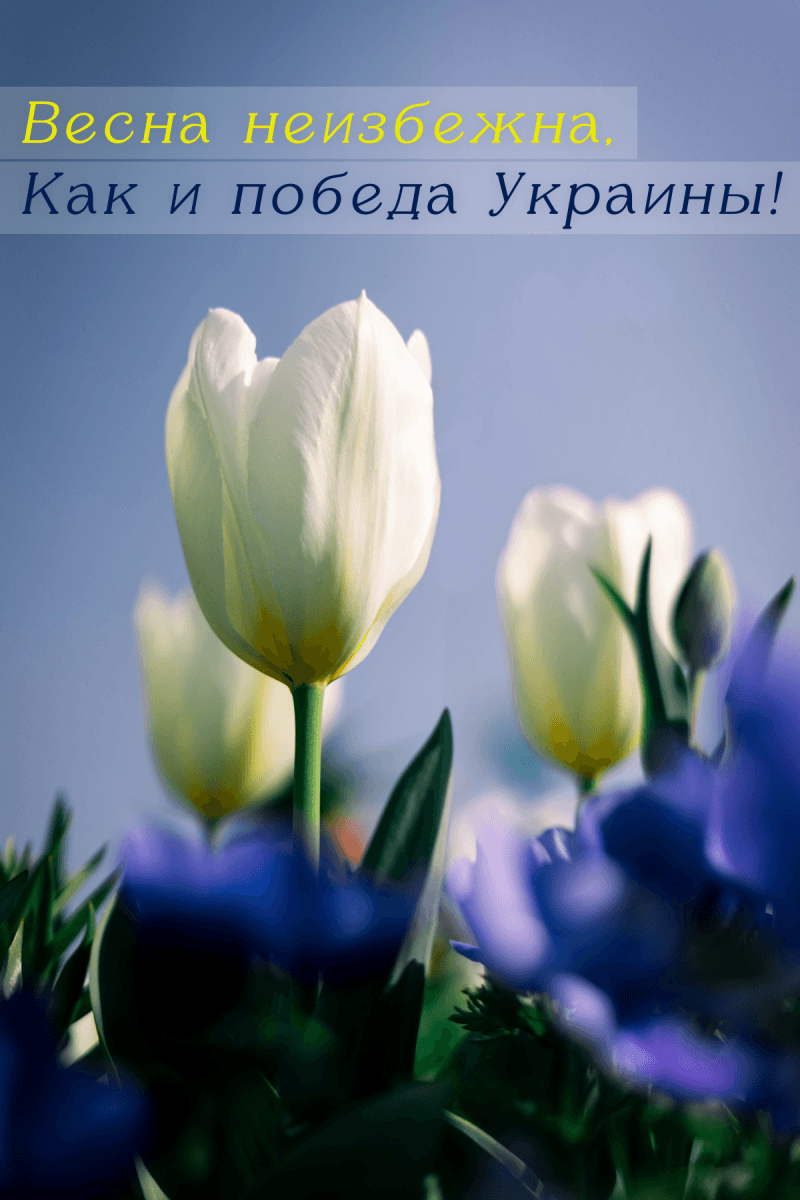 С первым днем весны: красивые поздравления и открытки к 1 марта - Афиша bigmir)net