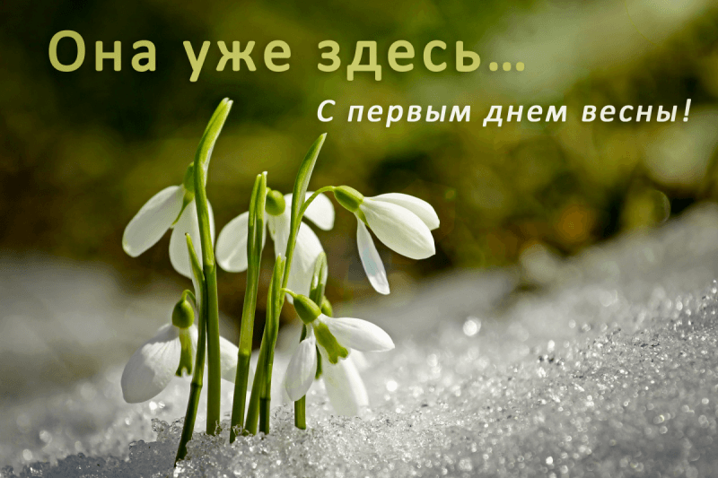 Поздравления с первым днем весны - картинки, открытки, стихи и смс на 1 марта - Апостроф