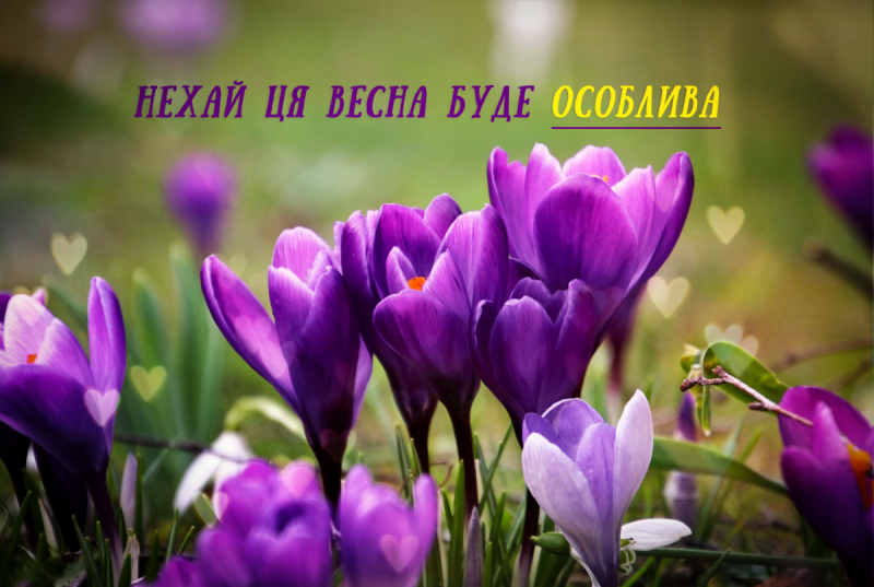З першим днем весни / листівки УНІАН З першим днем весни / листівки УНІАН