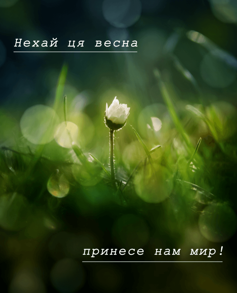 Листівки з першим днем весни 1 березня / листівки УНІАН Листівки з першим днем весни 1 березня / листівки УНІАН