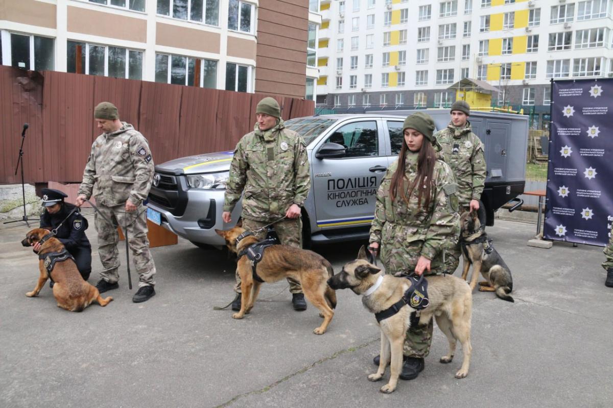 Полиция Киевщины приняла 11 собак-саперов / фото полиция Киевщины Полиция Киевщины приняла 11 собак-саперов / фото полиция Киевщины