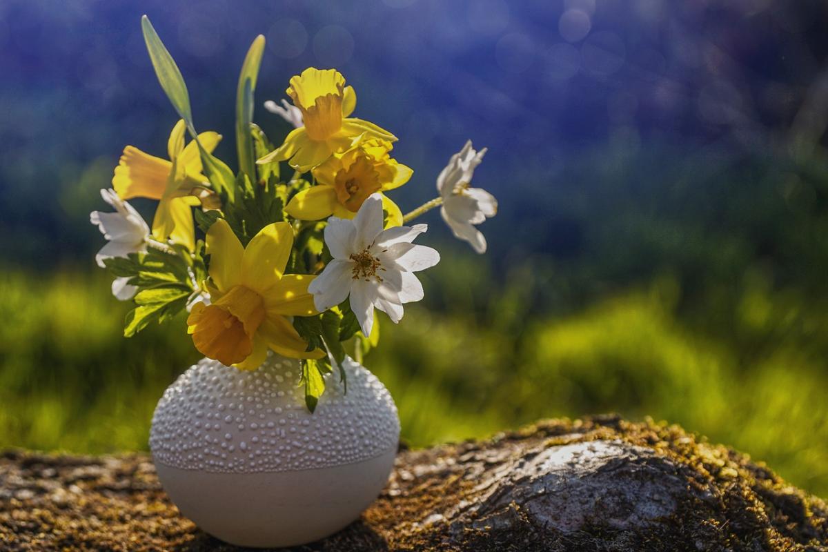 Сьогодні в Україні буде помірно тепло / фото suju-foto, Pixabay Сьогодні в Україні буде помірно тепло / фото suju-foto, Pixabay