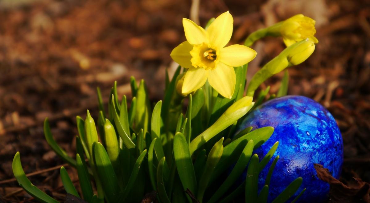 Сегодня погода порадует украинцев теплом / фото braetschit, Pixabay Сегодня погода порадует украинцев теплом / фото braetschit, Pixabay