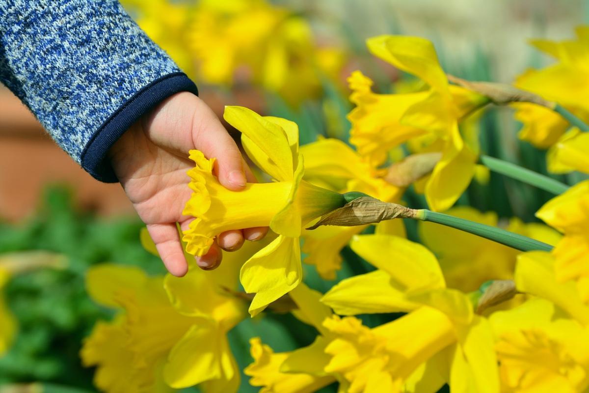 Напередодні вихідних погода в Україні почне змінюватися / фото congerdesign, Pixabay Напередодні вихідних погода в Україні почне змінюватися / фото congerdesign, Pixabay