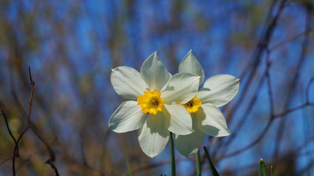 Найближчими днями погода в Україні буде стабільною / фото Gosia K,Pixabay Найближчими днями погода в Україні буде стабільною / фото Gosia K,Pixabay