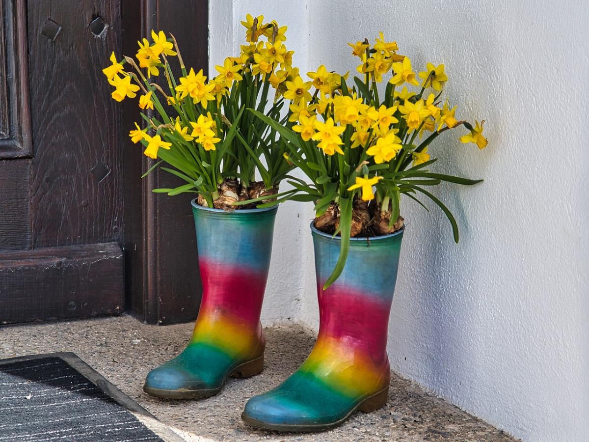 Сьогодні опади будуть на заході та Лівобережжі України / фото Manfred Antranias Zimmer, Pixabay