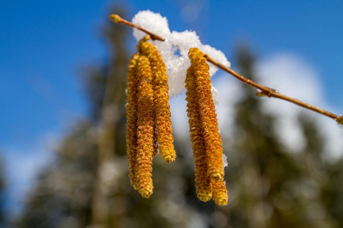 https://images.unian.net/photos/2023_04/1680532608-6995.jpg?r=583342