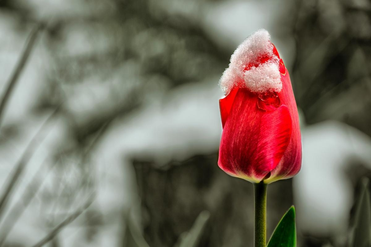 Дожди, мокрый снег и ветер испортят погоду в Украине, – синоптик