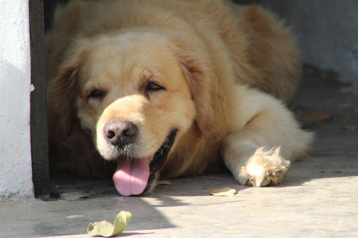 В Украину возвращается очень теплая погода / фото Pixabay В Украину возвращается очень теплая погода / фото Pixabay