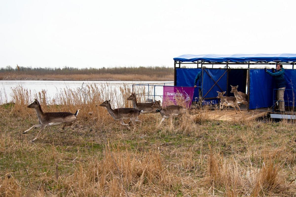 Rewilding Ukraine Rewilding Ukraine