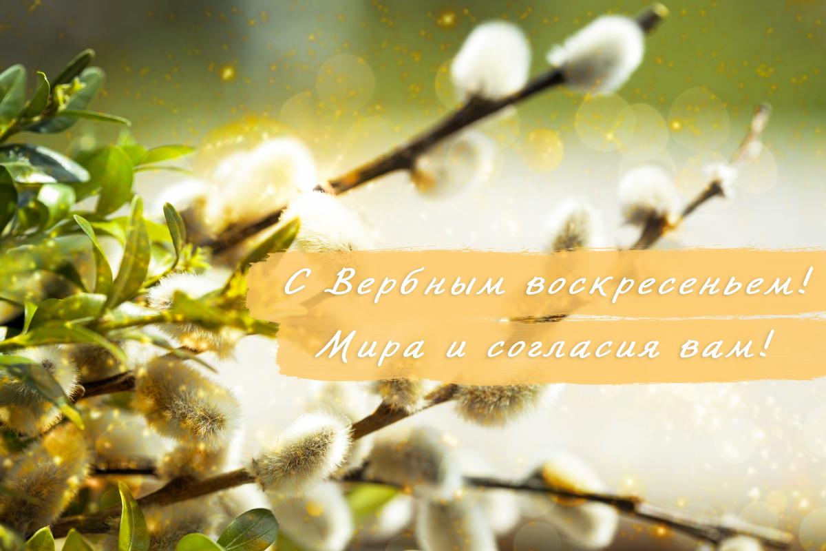 Поздравление с Вербным воскресеньем / открытки УНИАН Поздравление с Вербным воскресеньем / открытки УНИАН
