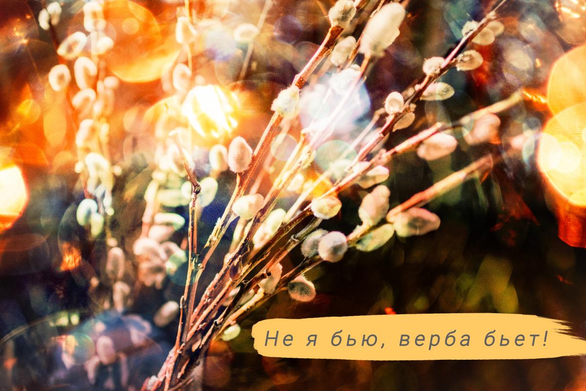 Открытка Вербное воскресенье / УНИАН Открытка Вербное воскресенье / УНИАН