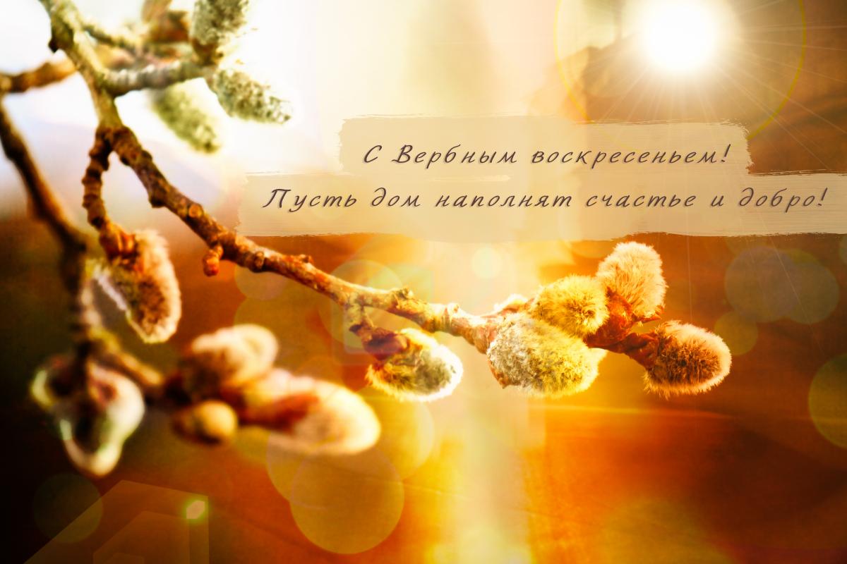 Вербное воскресенье / открытки УНИАН Вербное воскресенье / открытки УНИАН