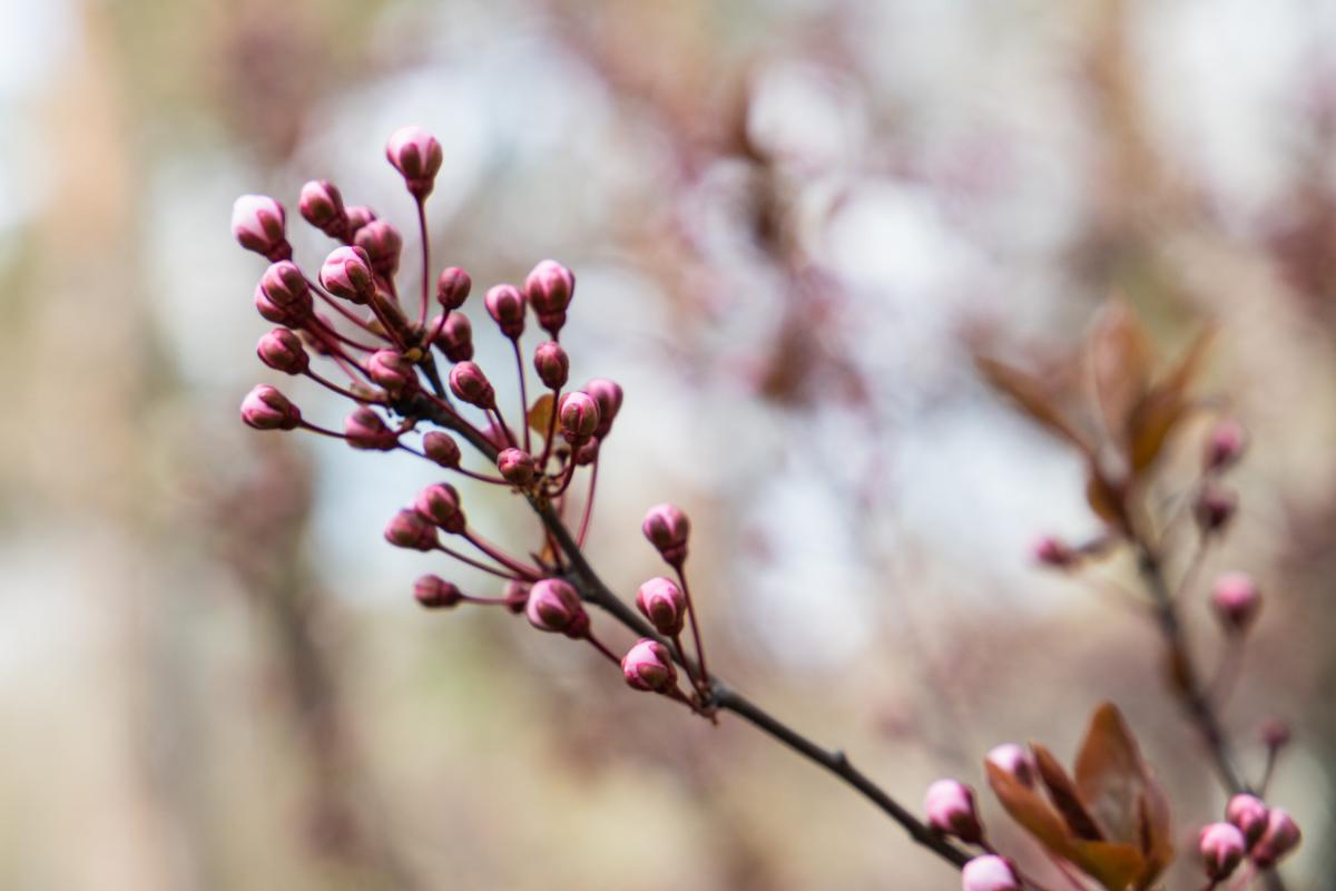 17 марта праздник Украина / фото kyivcity.gov.ua