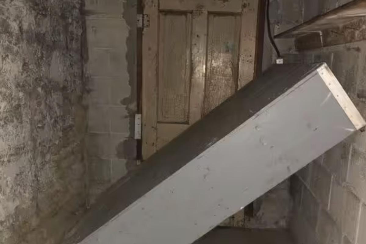 Знахідка чоловіка сполохала мережу / фото reddit.com Знахідка чоловіка сполохала мережу / фото reddit.com