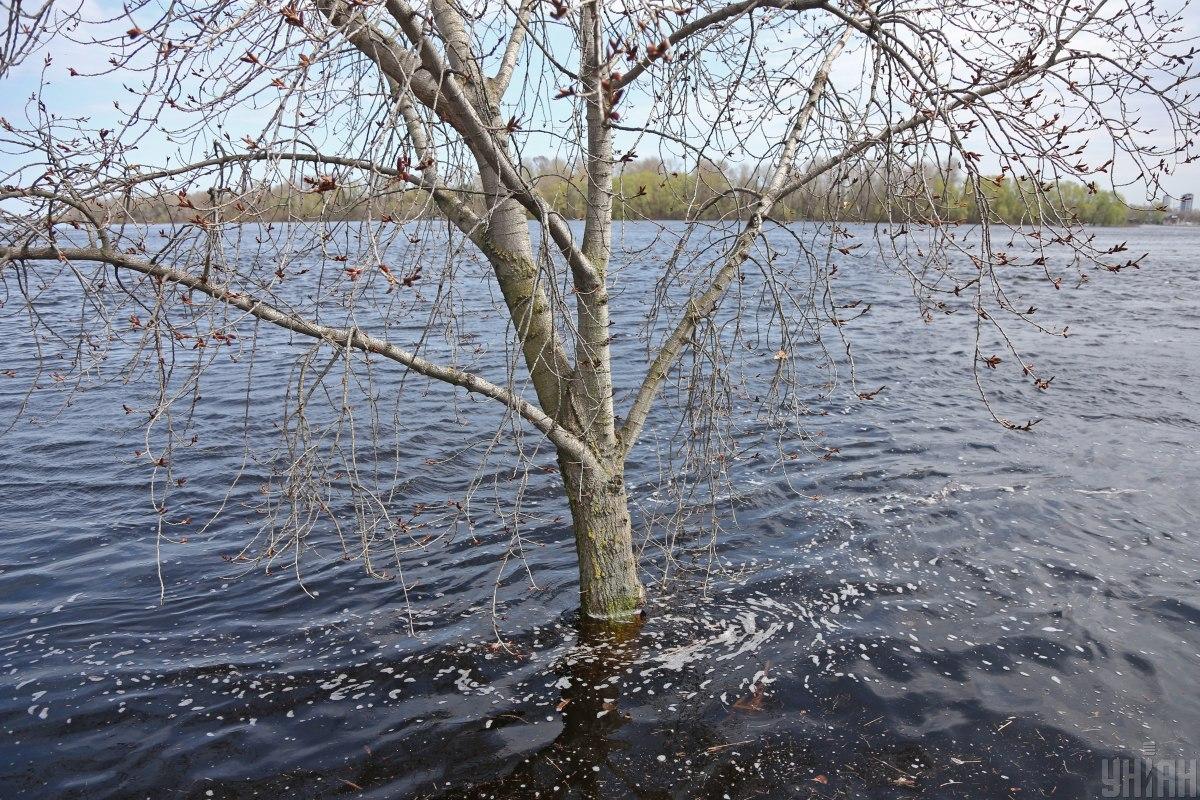 Во многих областях Украины продолжается половодье / фото УНИАН, Виктор Ковальчук Во многих областях Украины продолжается половодье / фото УНИАН, Виктор Ковальчук