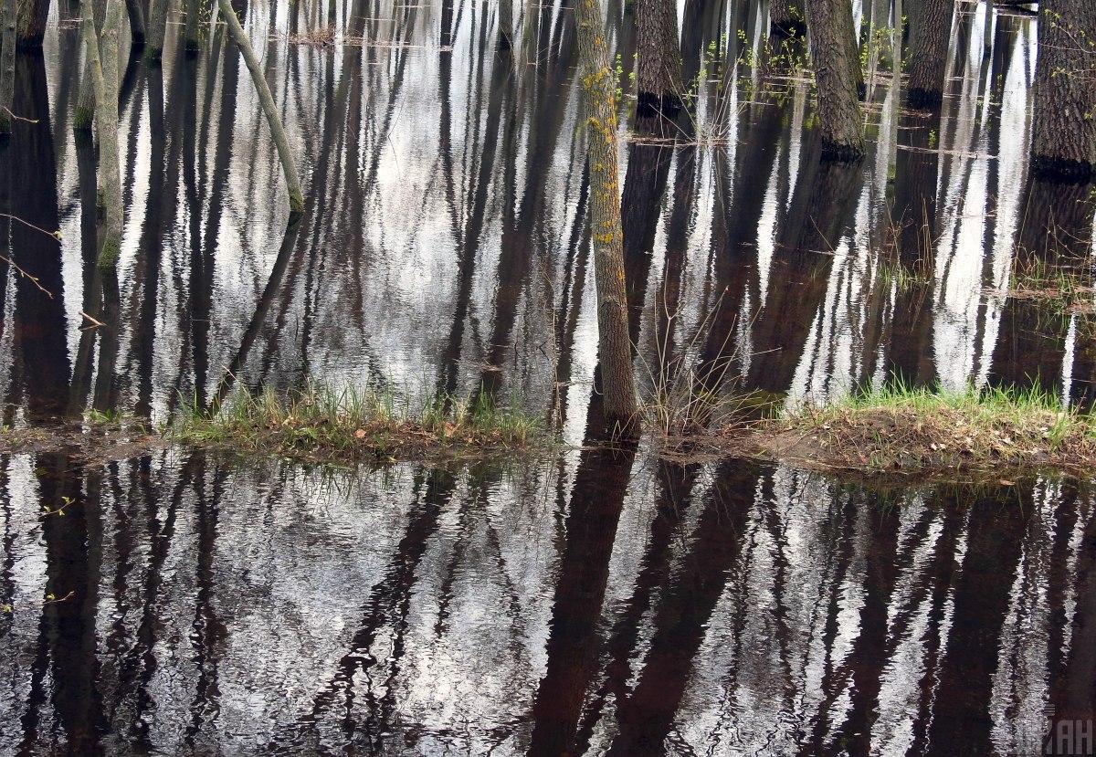 Воды в Динпри становится меньше / фото УНИАН, Александр Синица Воды в Динпри становится меньше / фото УНИАН, Александр Синица