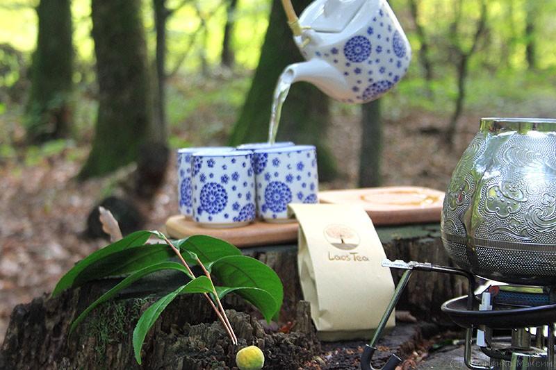 Чайна церемонія на чайній плантації біля Мукачева / фото Макса Адаменка Чайна церемонія на чайній плантації біля Мукачева / фото Макса Адаменка