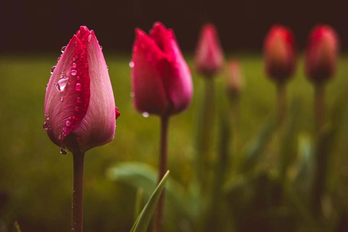 В четверг Украину разогреет до +18°, но часть страны накроют дожди