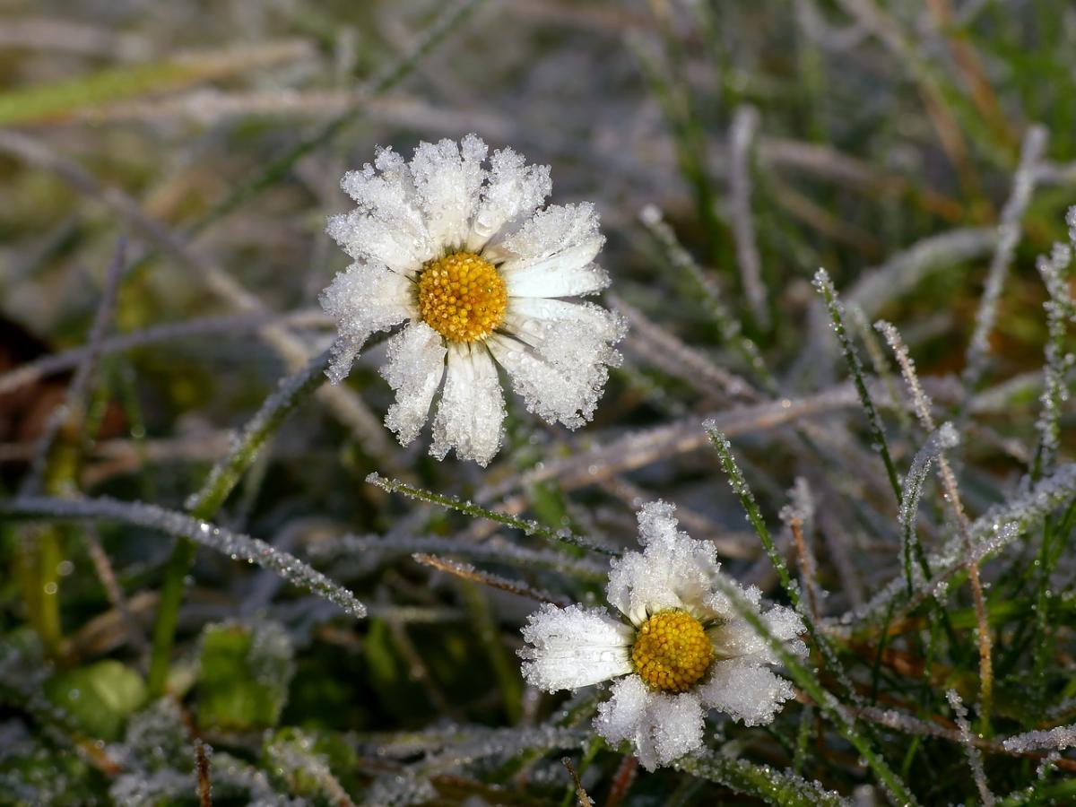 25 ноября праздник Украина / фото J_Blueberry/Pixabay 25 ноября праздник Украина / фото J_Blueberry/Pixabay