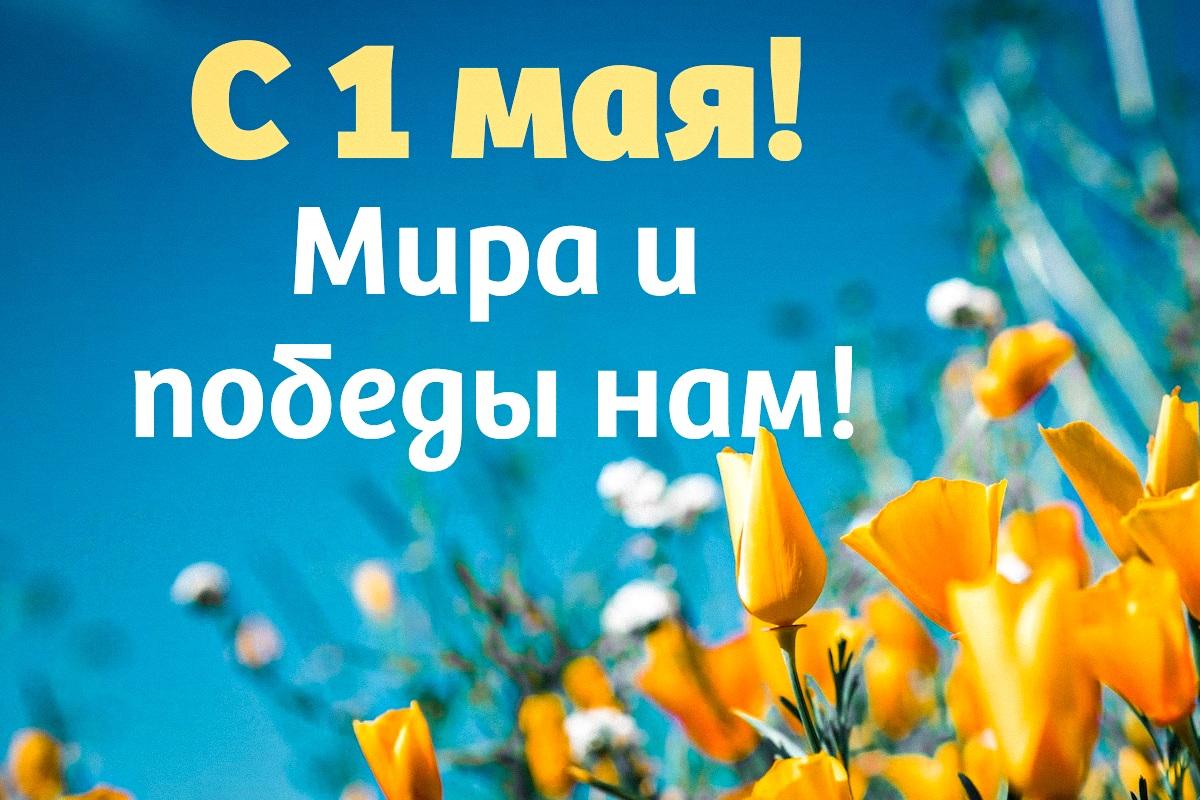 Поздравления с 1 мая / открытки УНИАН Поздравления с 1 мая / открытки УНИАН