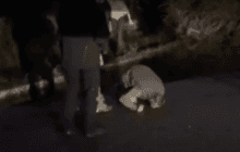 Азовець після російського полону розцілував рідну землю: історія бійця (відео)